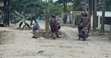 Warga sekitar yang menanam pohon pisang ditengah badan jalan di Jalan Menteng II, karena kesal dengan jalan rusak usai dilakukan pembangunan drainase bawah tanah yang ditinggal begitu saja oleh Dinas PU Pemko Medan. (Jhonson Siahaan)