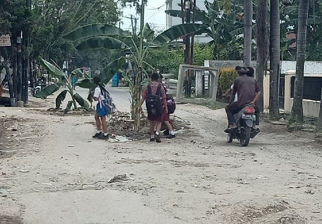 Warga sekitar yang menanam pohon pisang ditengah badan jalan di Jalan Menteng II, karena kesal dengan jalan rusak usai dilakukan pembangunan drainase bawah tanah yang ditinggal begitu saja oleh Dinas PU Pemko Medan. (Jhonson Siahaan)