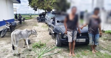Kapolsek Serbalawan Amankan Dua Pencuri Anak Lembu Di Simalungun Usai Kabur Pakai Sedan Dan Tabrak Pemotor