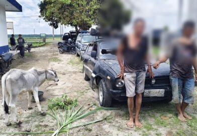 Kapolsek Dolok Batu Nanggar Amankan Dua Pencuri Anak Lembu Di Simalungun Usai Kabur Pakai Sedan Dan Tabrak Pemotor